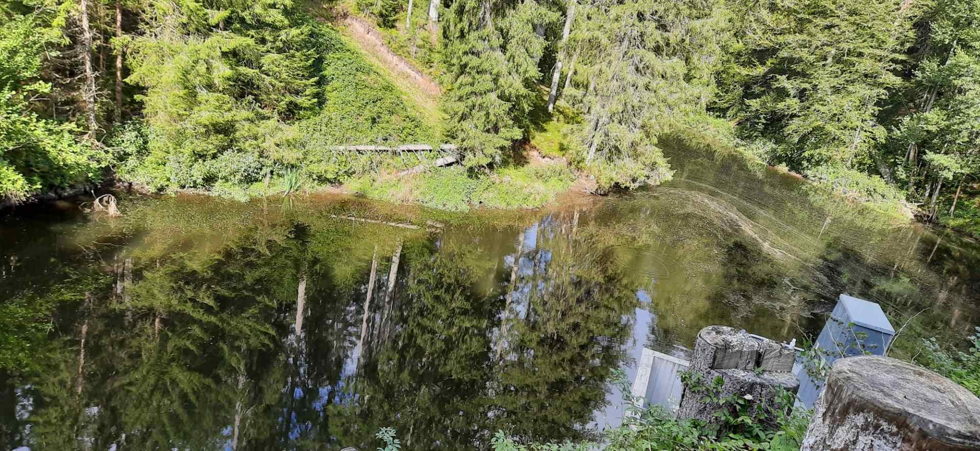 	14 3 Tage auf dem Schluchtensteig im Südschwarzwald
